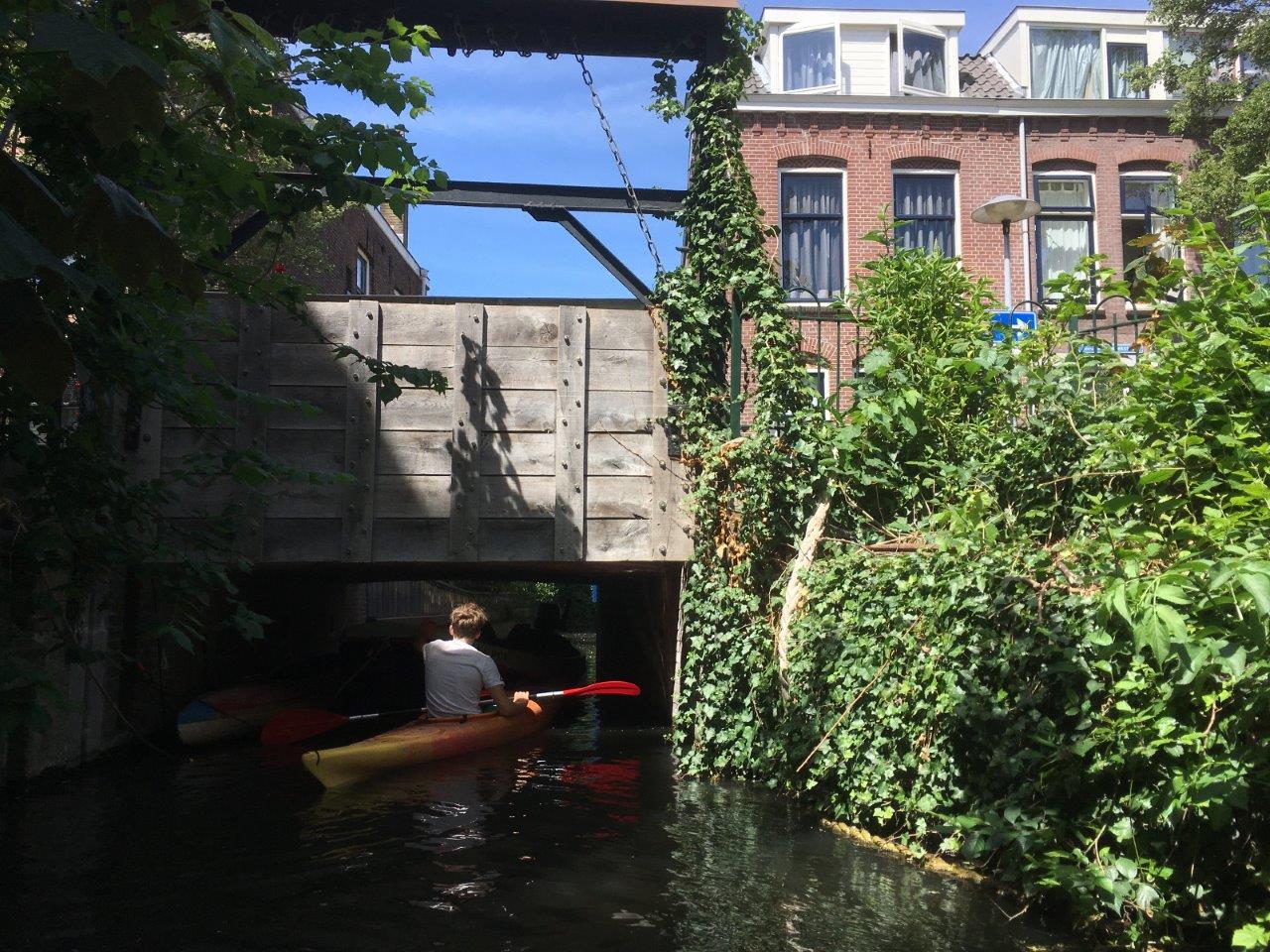 koekoeksbrug