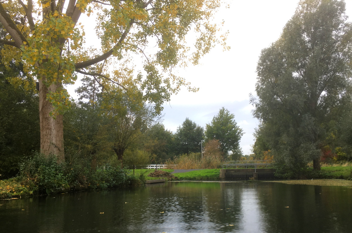stuwenkanooverdraagplaatsparkbloeyendael